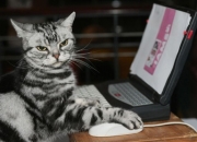 雷火电竞主播-穆勒第89分钟绝杀！巴拉圭1-0喀麦隆赢得生死战