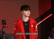 雷火电竞网站-RNG力克DK，Faker成为全场焦点成都决赛之夜2:1（北京）