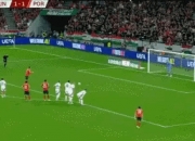 雷火电竞下载-葡萄牙险胜波多之波，成功进入欧国界杯四强