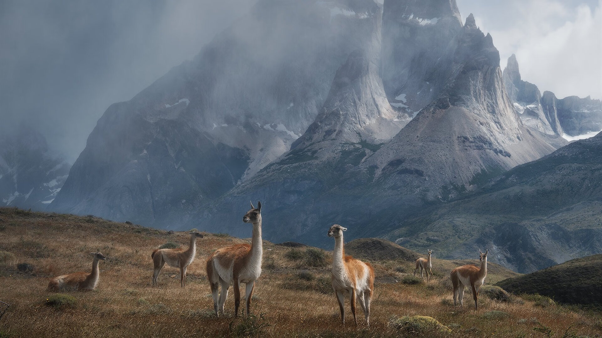 梦幻对决,德布劳内爆发,尤文图斯横扫玻利维亚